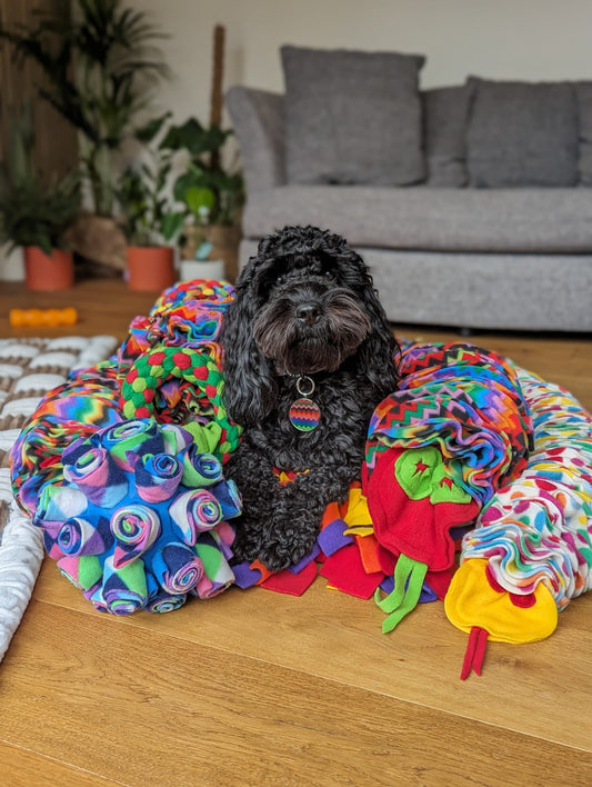 Elevating Canine Enrichment: Inspiring Ideas for Your Dog