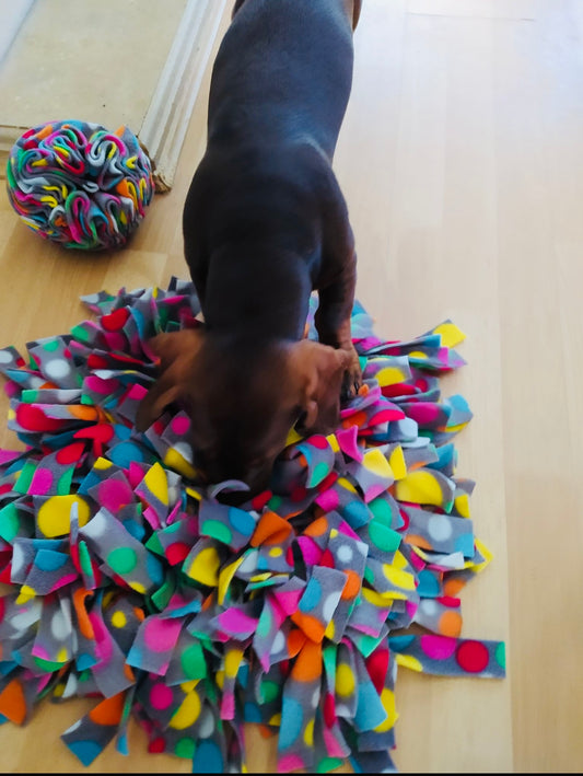 Snuffle Mats: Engaging Your Dog's Senses for Endless Fun