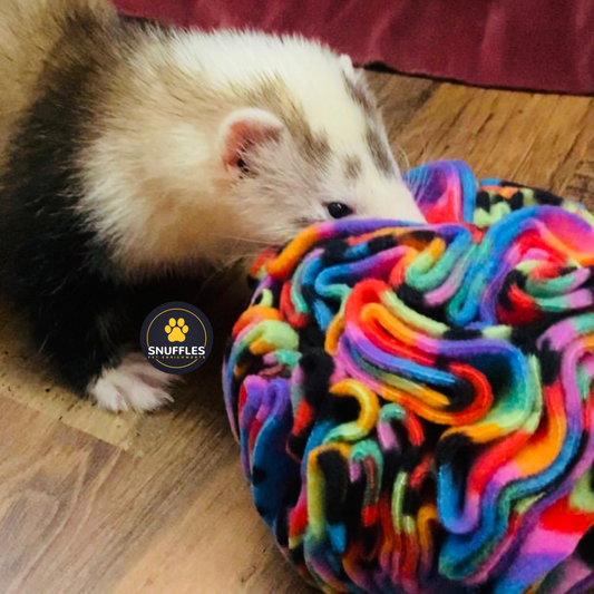 Ferret Treats: Rewarding Delights for Your Furry Friend