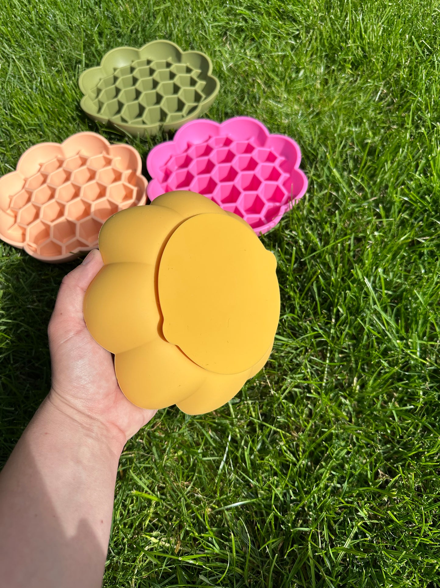 Honeycomb Enrichment Bowl (Free Postage)