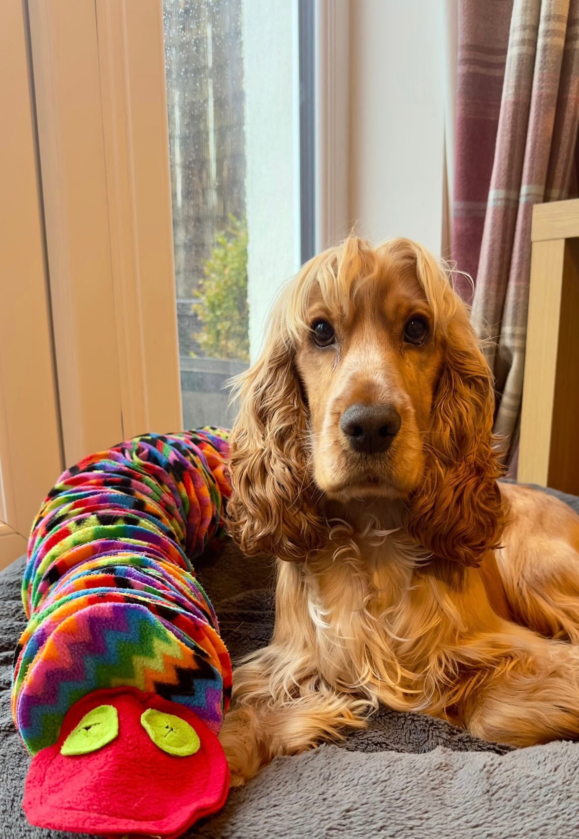 Large Snuffle Snake (Free Postage)