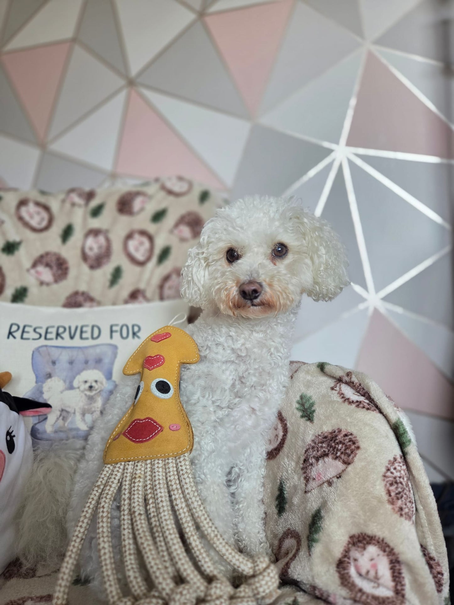 Karen The Squid (Free Postage)