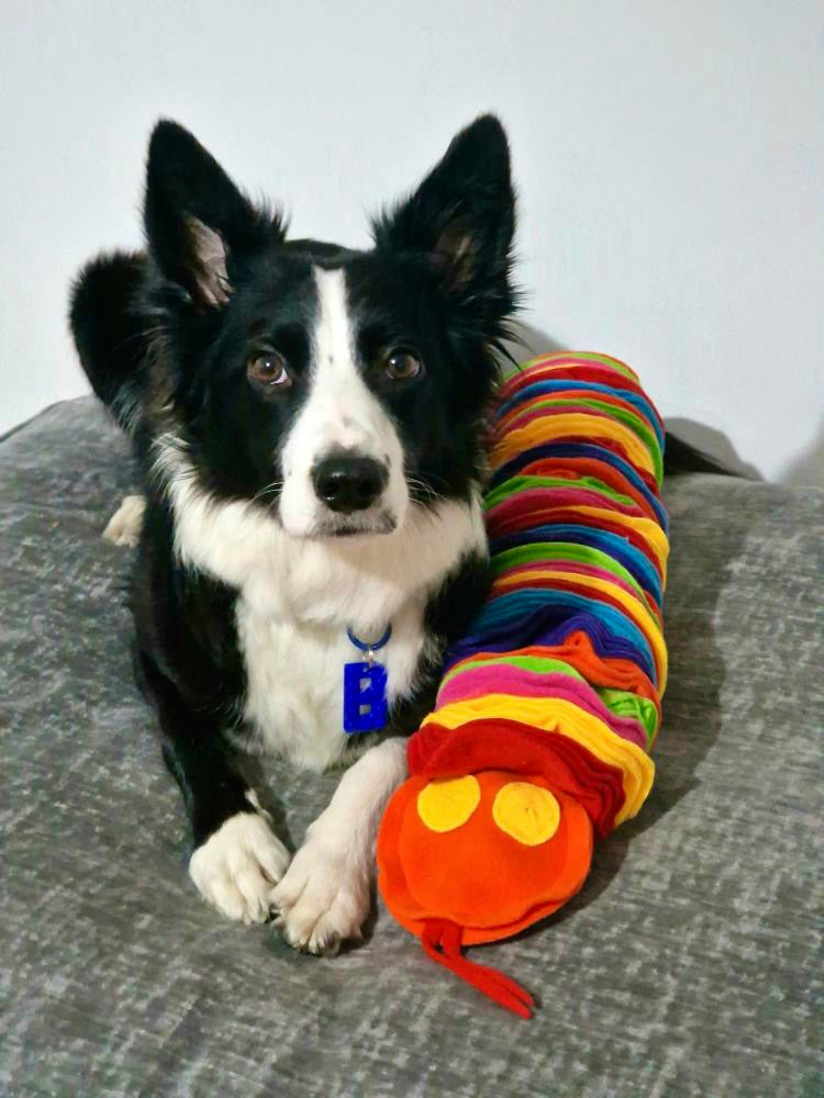 Custom Coloured Large Snuffle Snake (Free Postage)