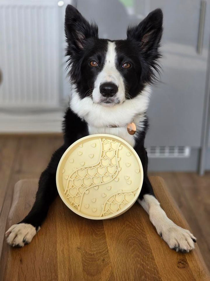 Heart Enrichment Bowl (Free Postage)
