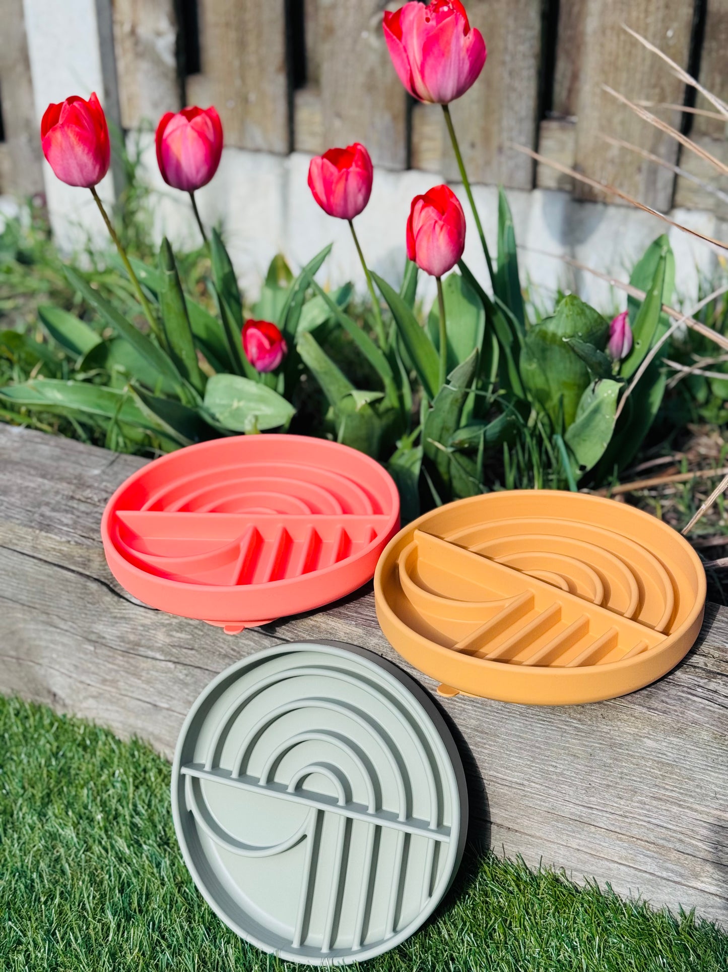 Rainbow Style Enrichment Bowl (Free Postage)