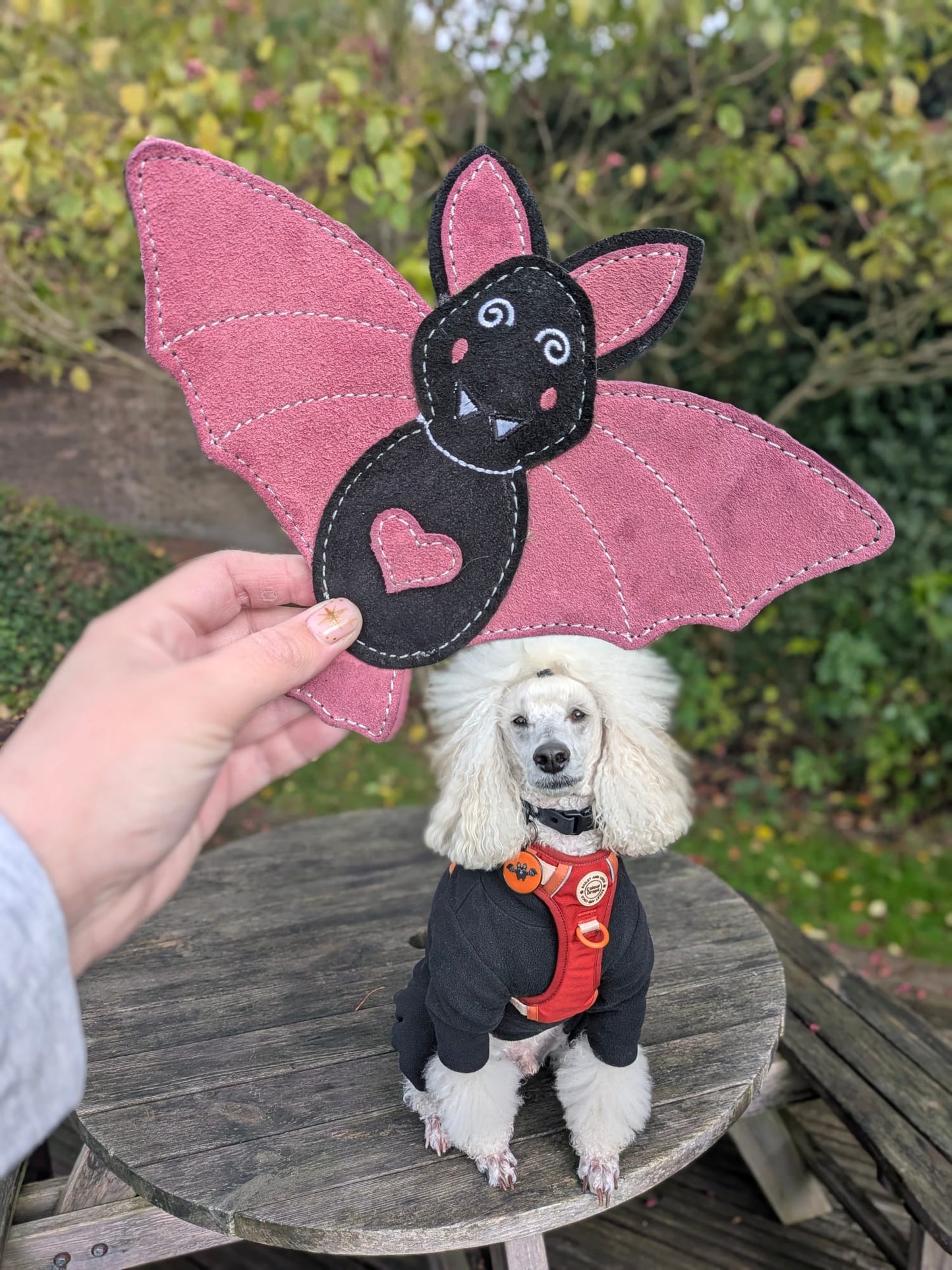 Nora Batty (Free Postage)