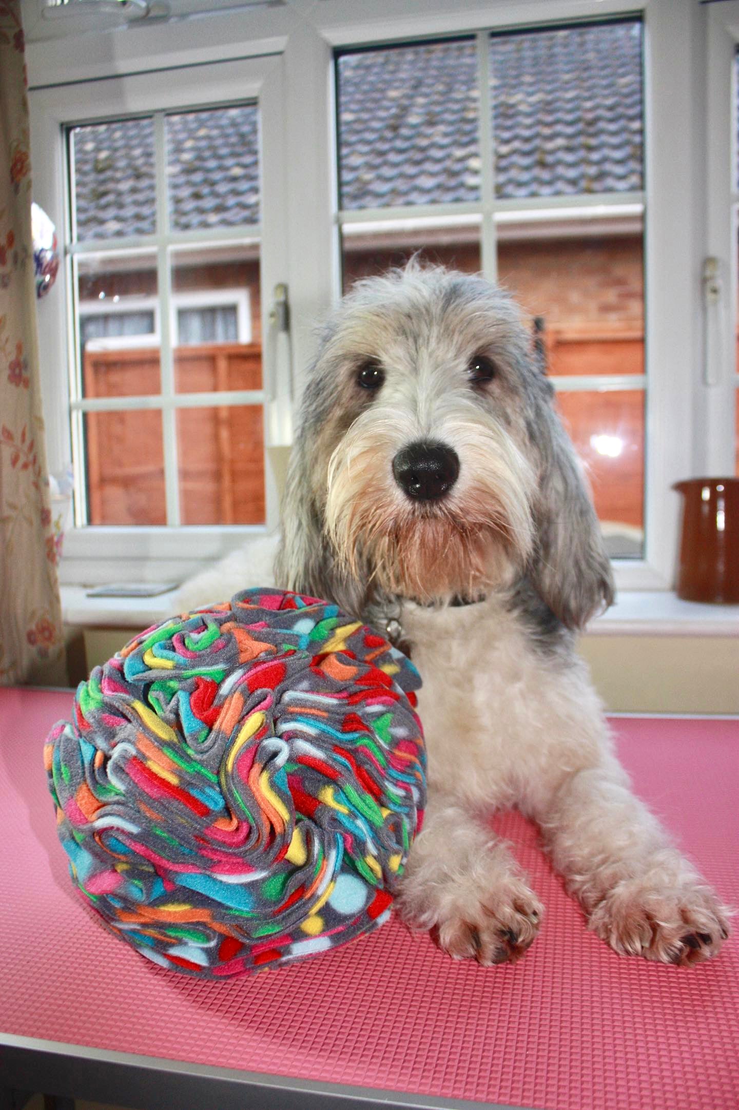 Large Snuffle Ball (Free Postage)