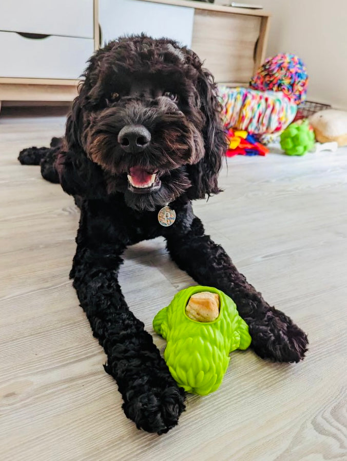 Dogsee Yeti Treat Toy, 3 colours available (Free Postage)