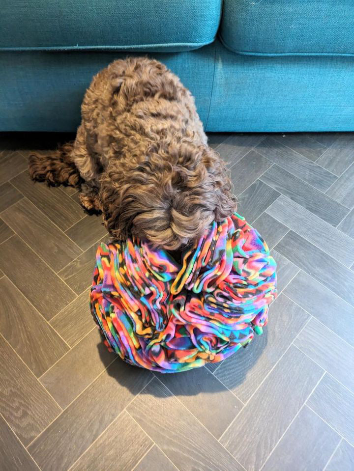 Extra Large Snuffle Ball (Free Postage)