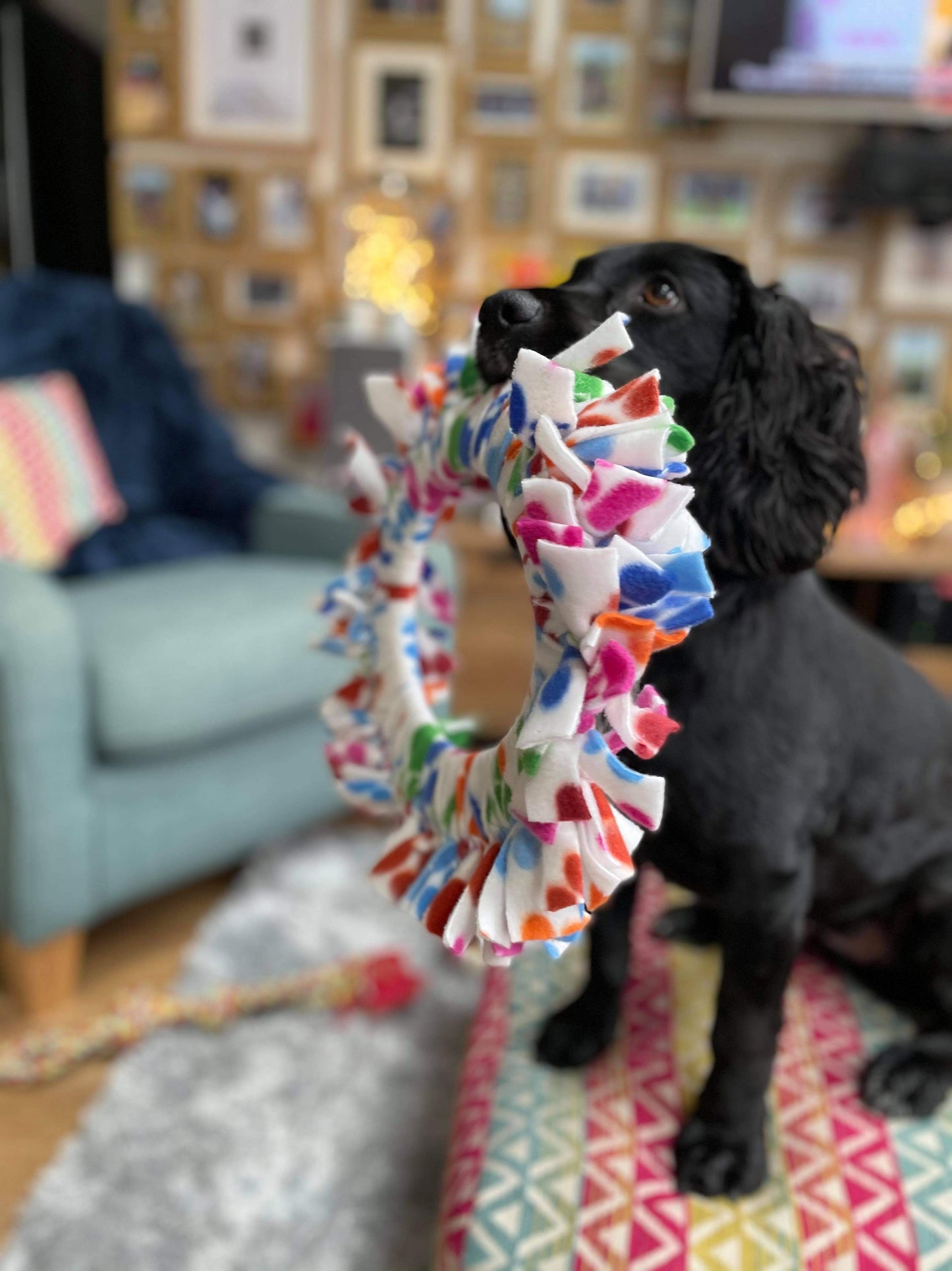 Fleece Frisbees (Free Postage)