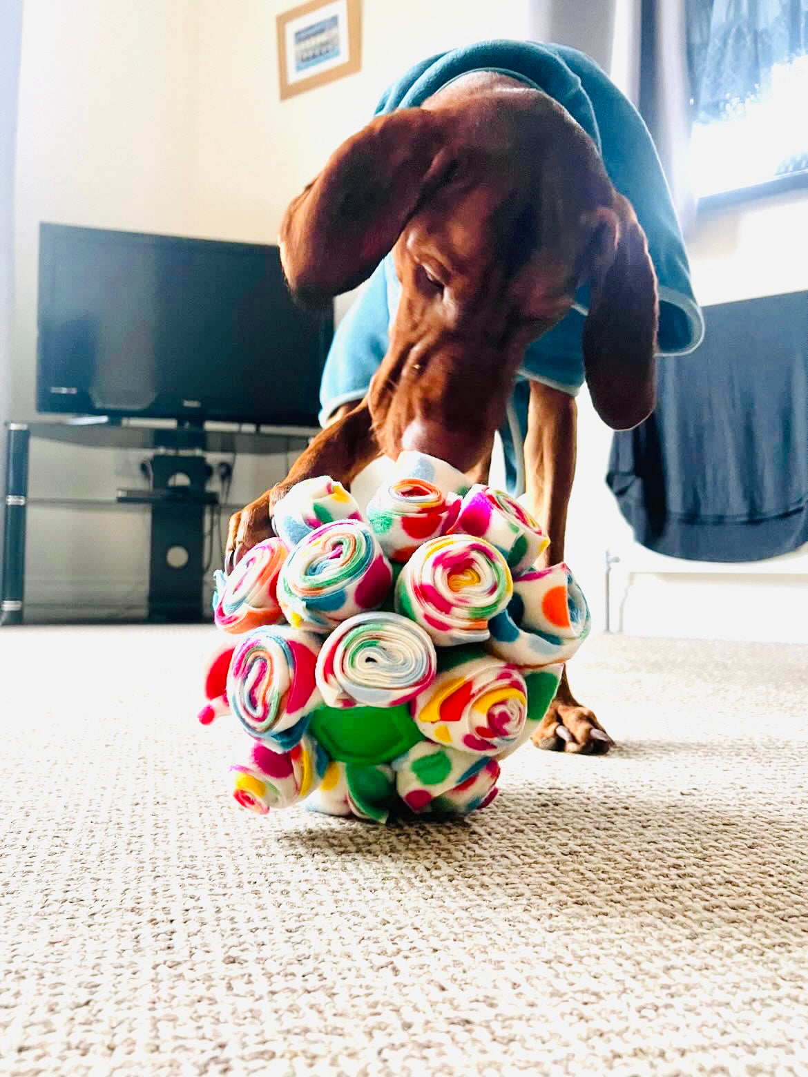 Snuffle Cage Ball (Free Postage)