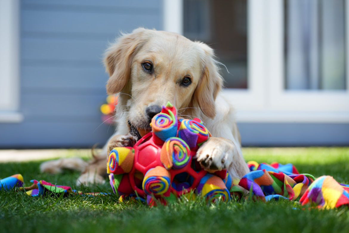 Snuffle Cage Ball (Free Postage)