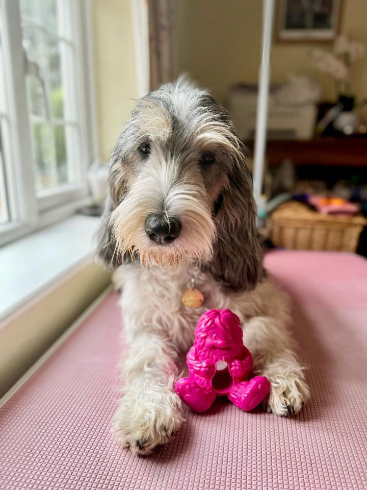 Dogsee Yeti Treat Toy, 3 colours available (Free Postage)