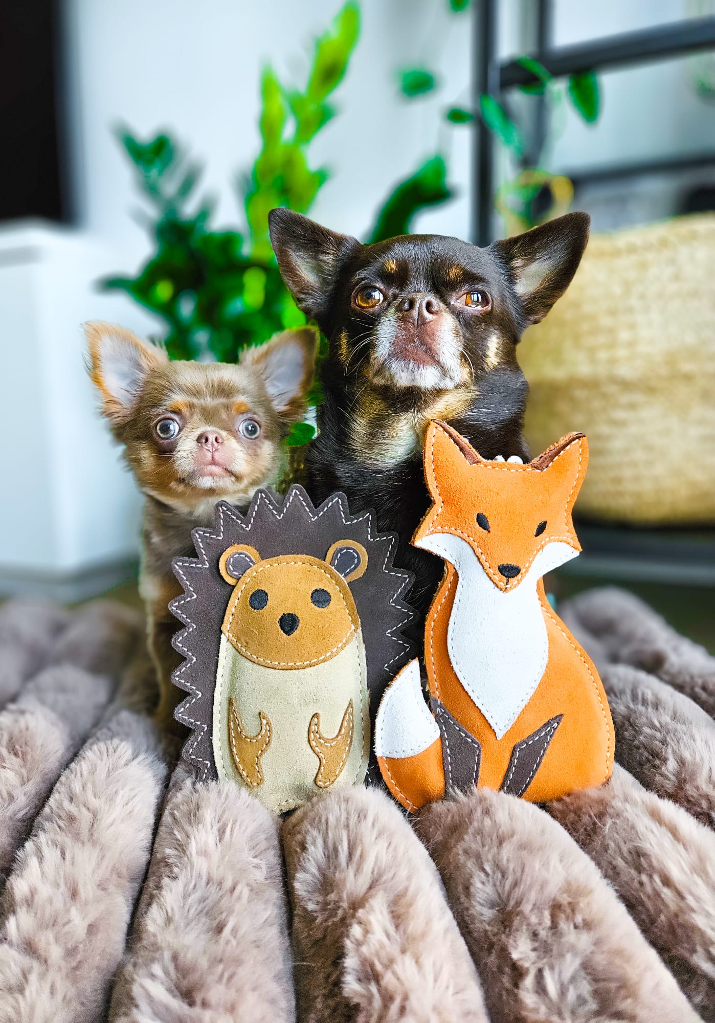 Bramble The Hedgehog (Cat Nip Infused)