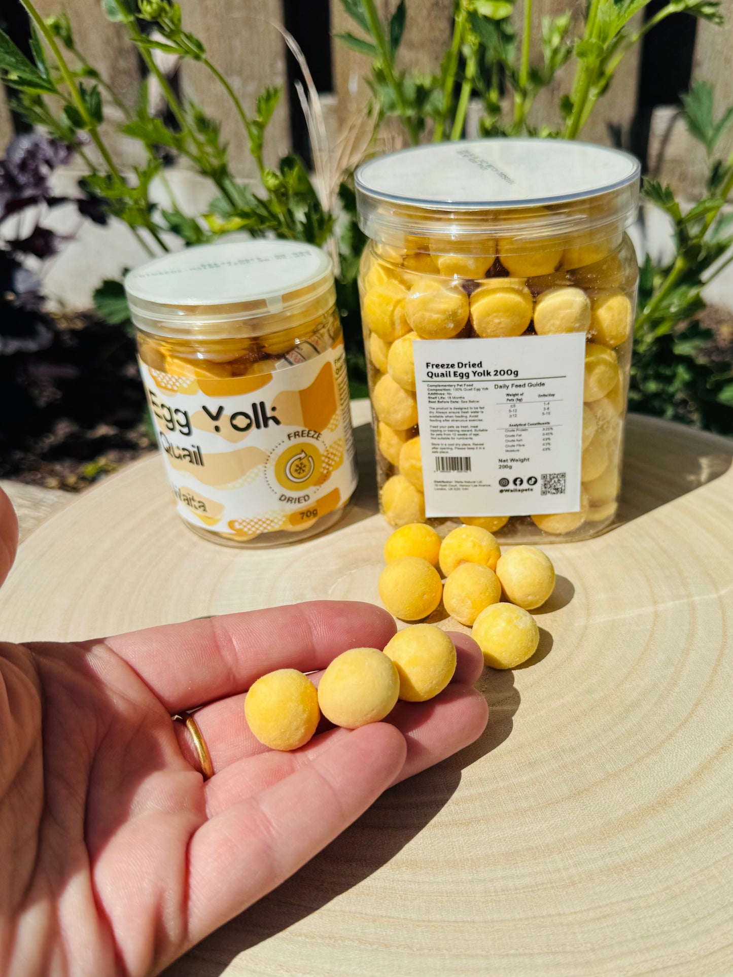 Freeze Dried Quail Egg Yolks (Free Postage)