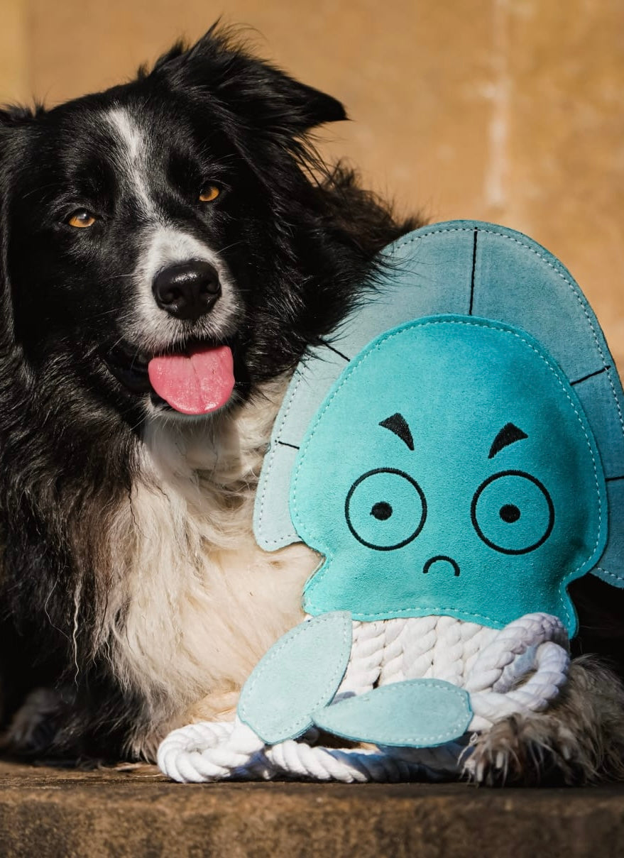 Dave The XL Jellyfish