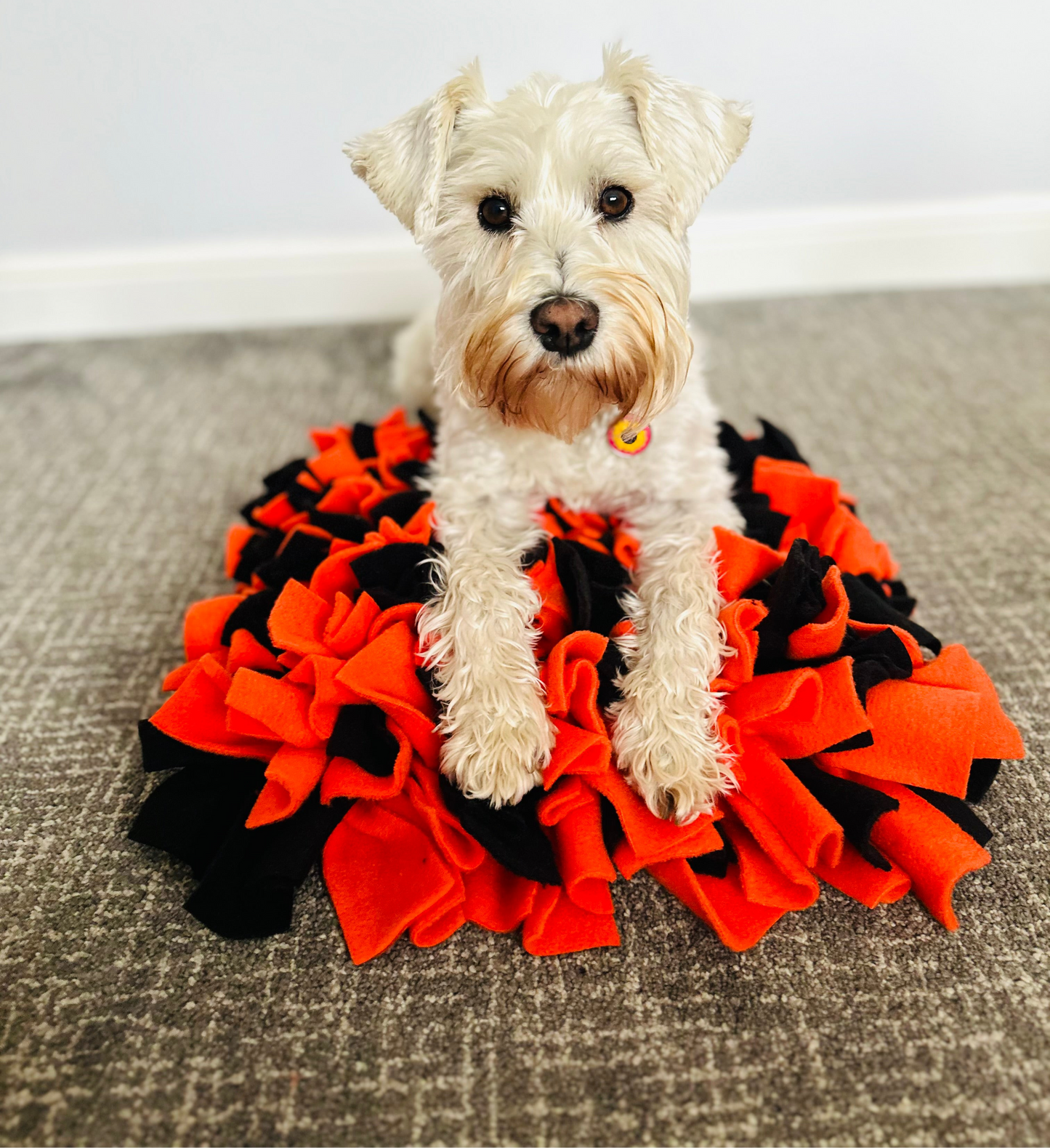 Schnauzerfest Snuffle Mat, Available in 3 sizes (15% of this order will be donated to the Schnauzerfest charity)