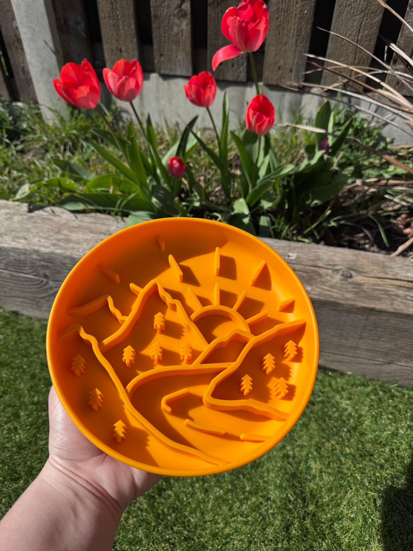 Mountain Range Enrichment Bowl (Free Postage)