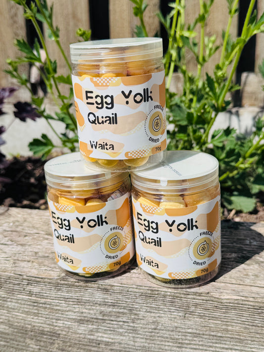 Freeze Dried Quail Egg Yolks (Free Postage)