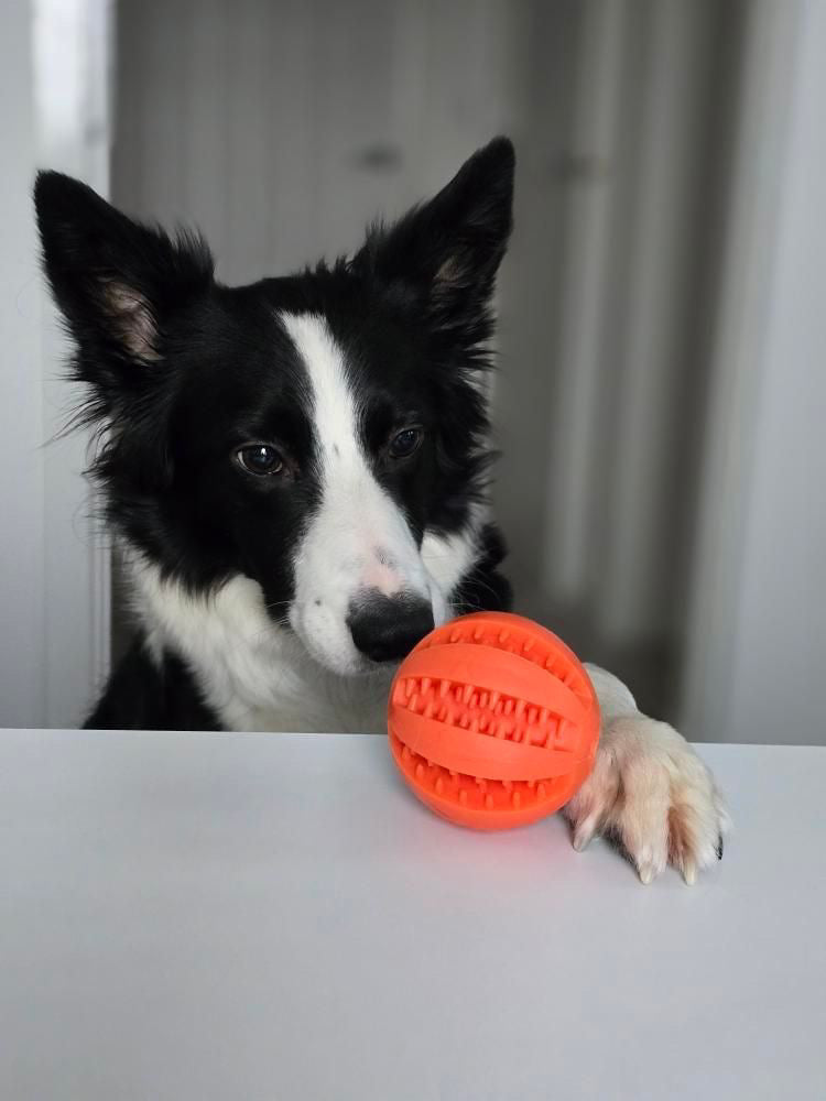 7cm Treat Ball (Free Postage)