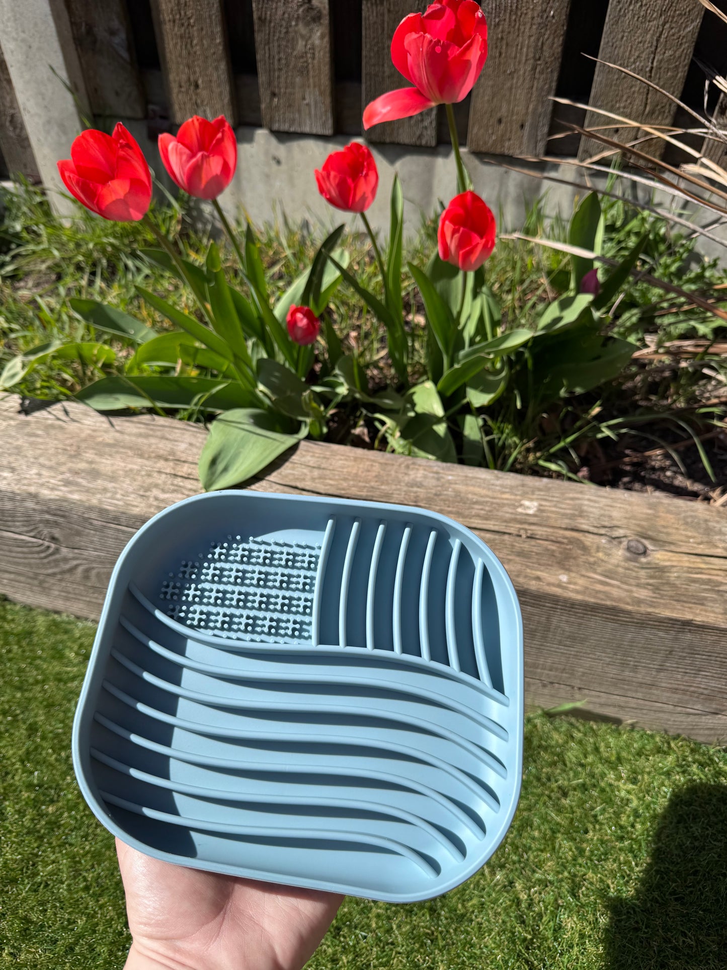Ripple Effect Feeder Bowl (Free Postage)