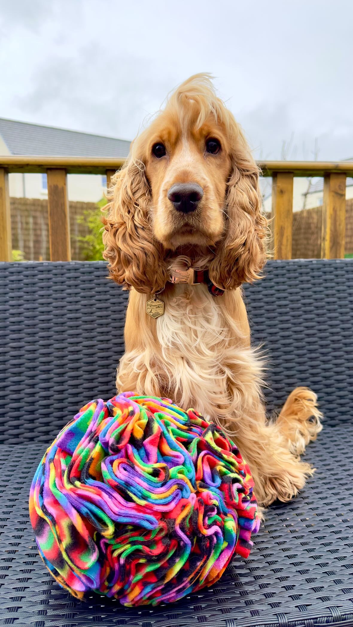 Large Snuffle Ball (Free Postage)