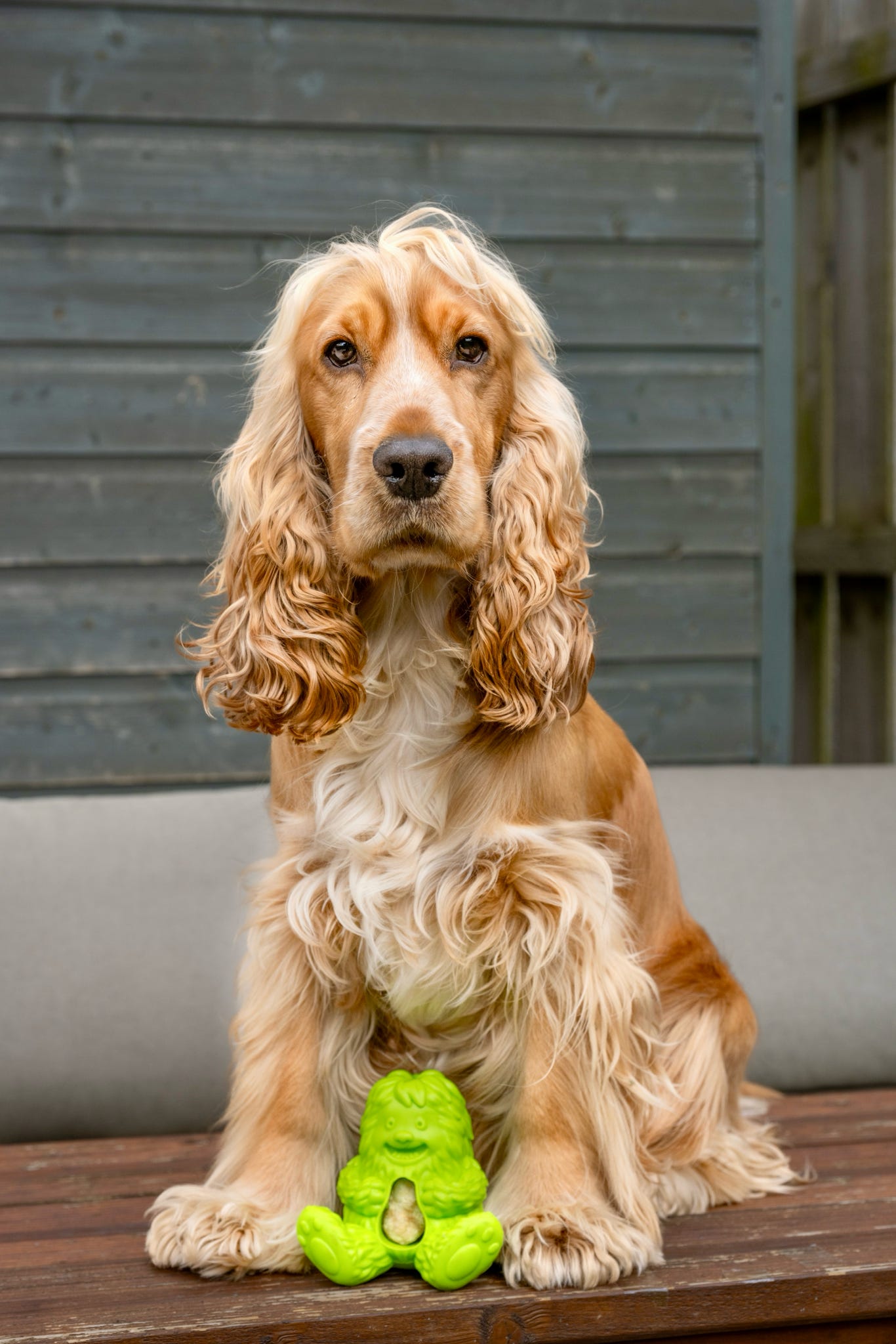 Dogsee Yeti Treat Toy, 3 colours available (Free Postage)