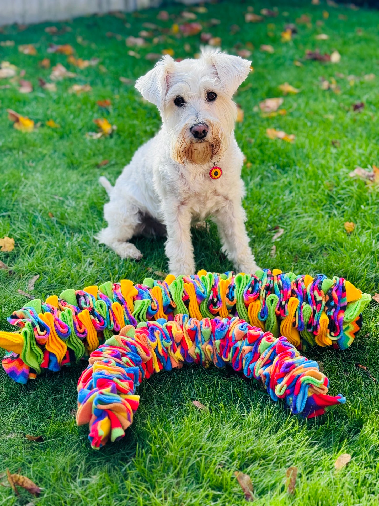 Custom Coloured Small Pocket Puzzle- for toy breeds and small pets