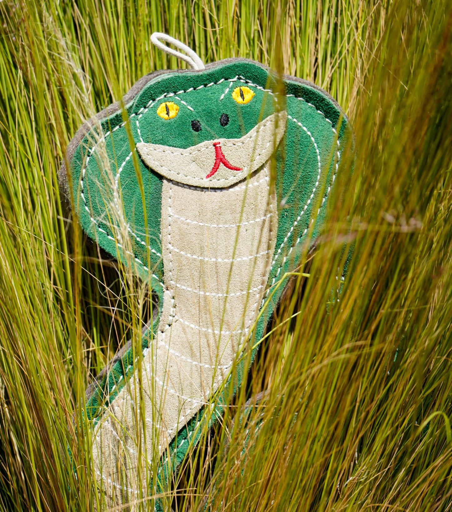 Kai The Cobra