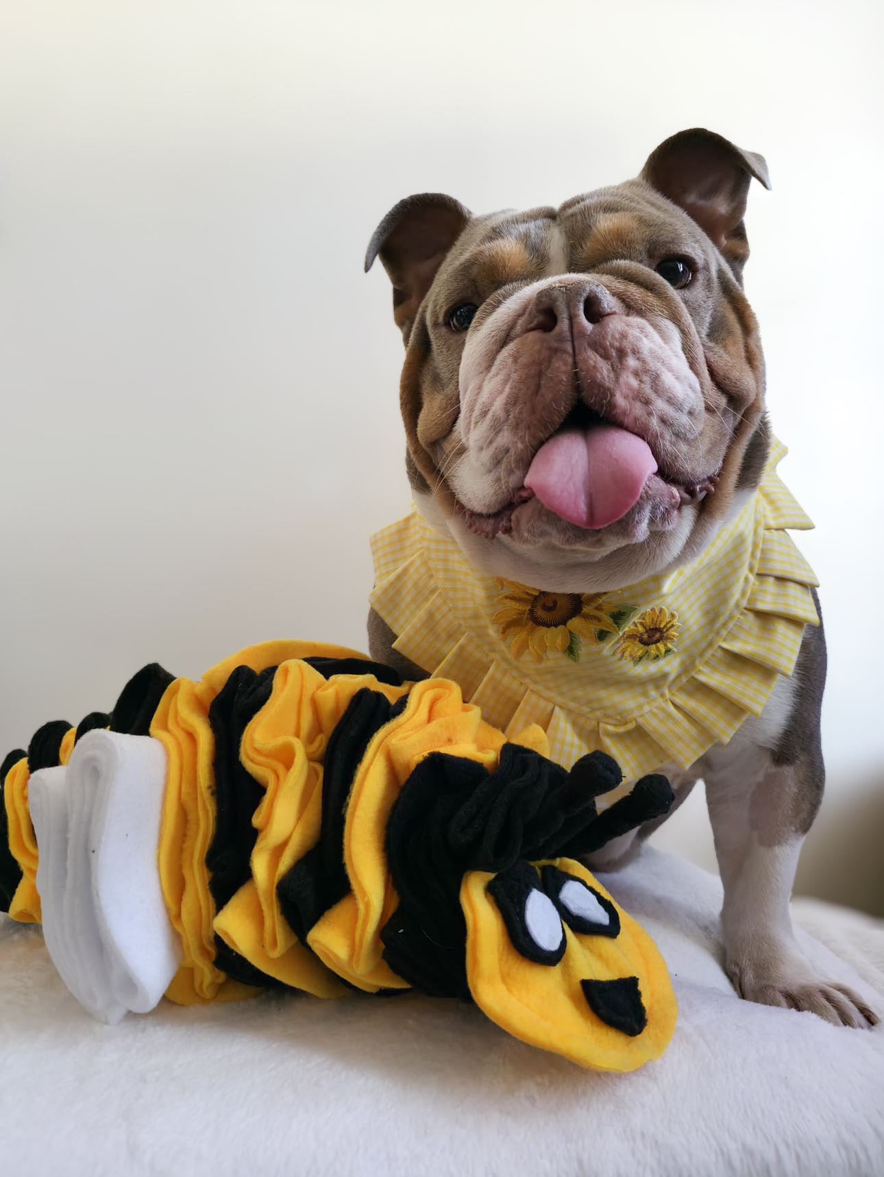 Bumble Buzzle Available In 2 Sizes (Free Postage)