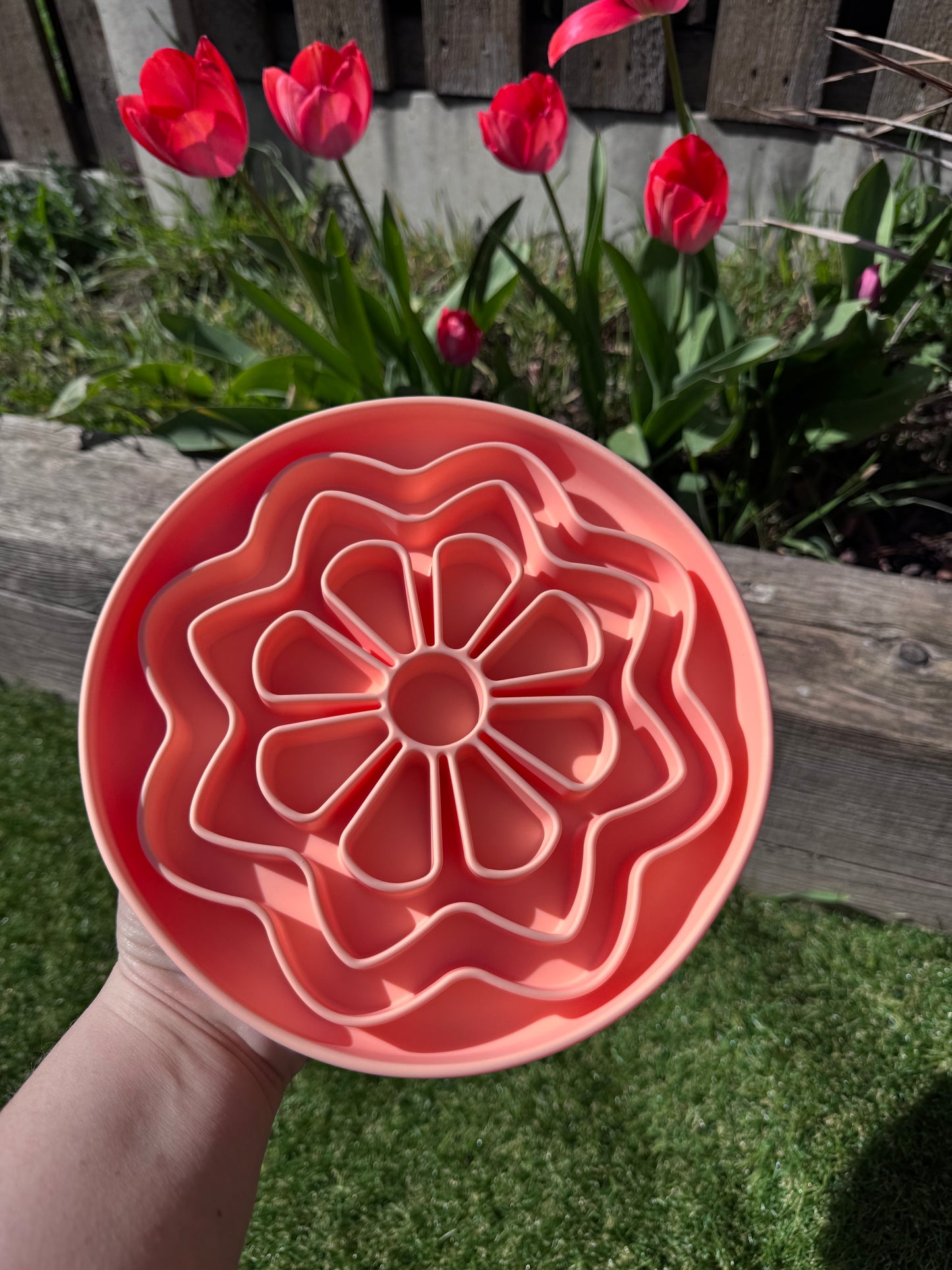 Flower Power Enrichment Bowl (Free Postage)