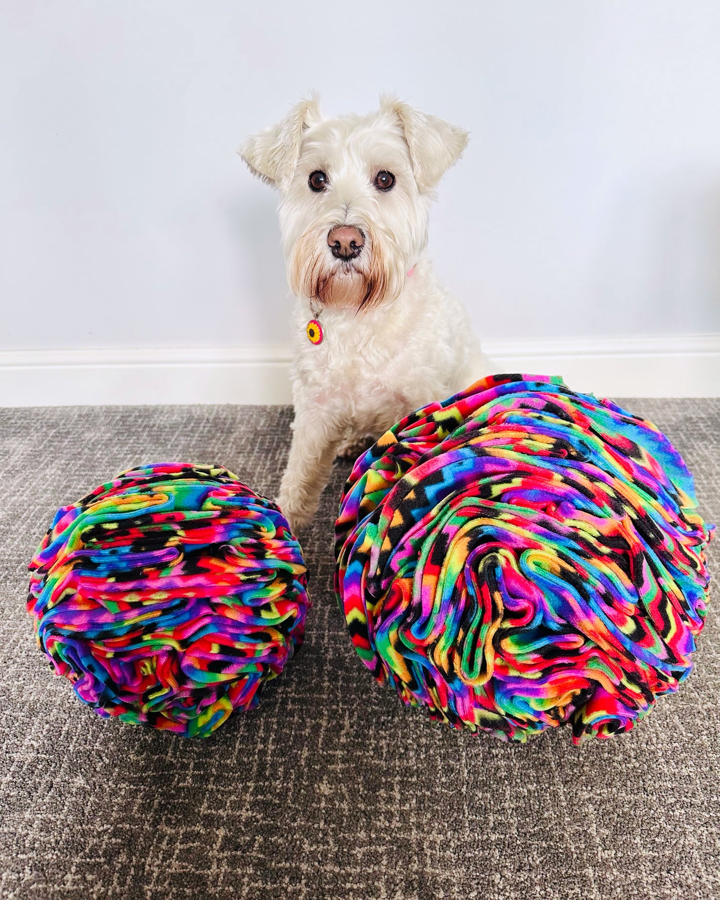 Extra Large Snuffle Ball (Free Postage)