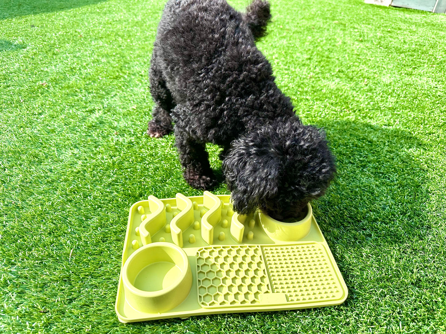 Multifunctional Lick Mat, Available In 2 Sizes (Free Postage)