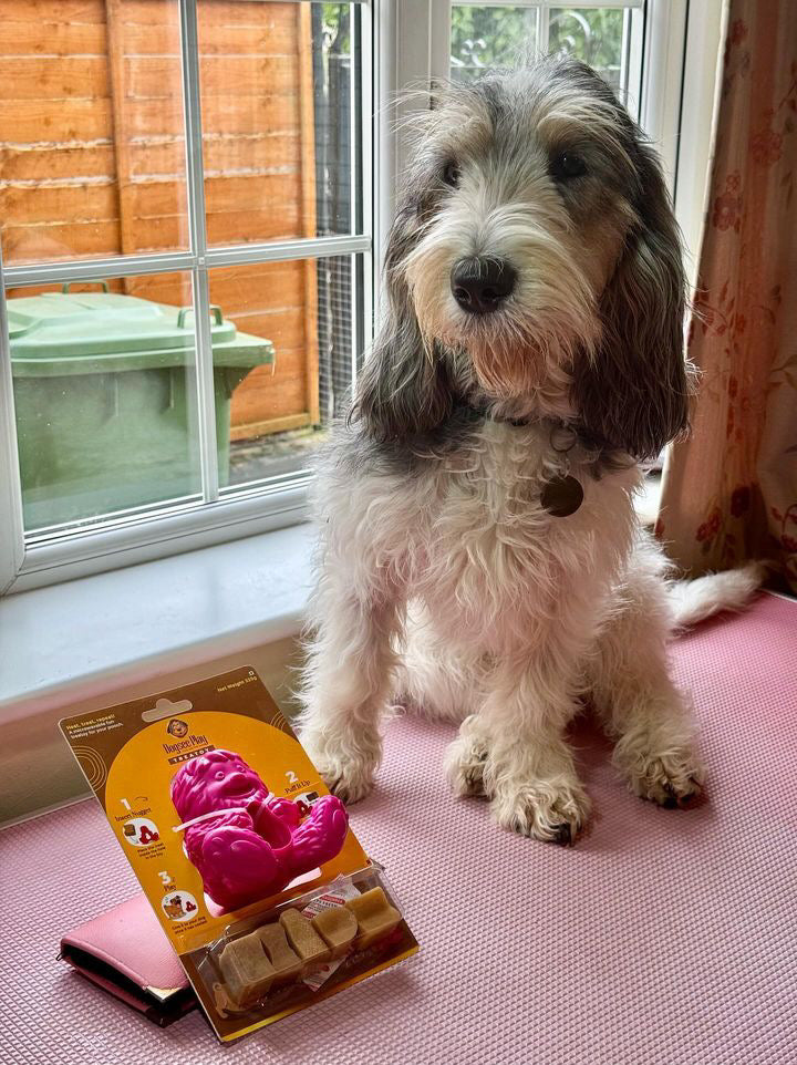 Dogsee Yeti Treat Toy, 3 colours available (Free Postage)