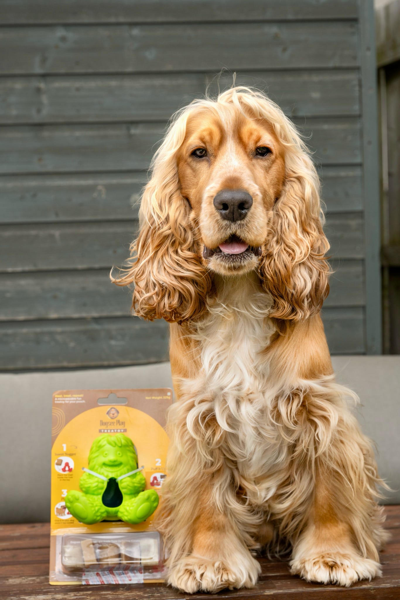 Dogsee Yeti Treat Toy, 3 colours available (Free Postage)