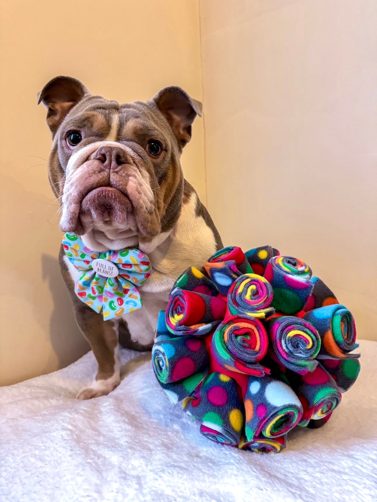 Snuffle Cage Ball (Free Postage)