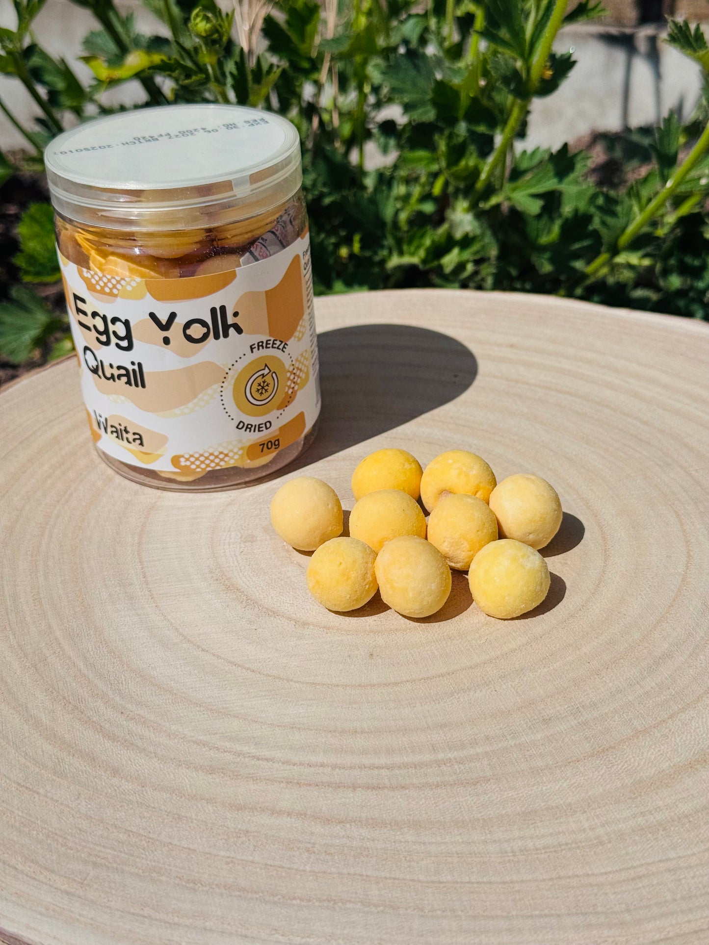 Freeze Dried Quail Egg Yolks (Free Postage)