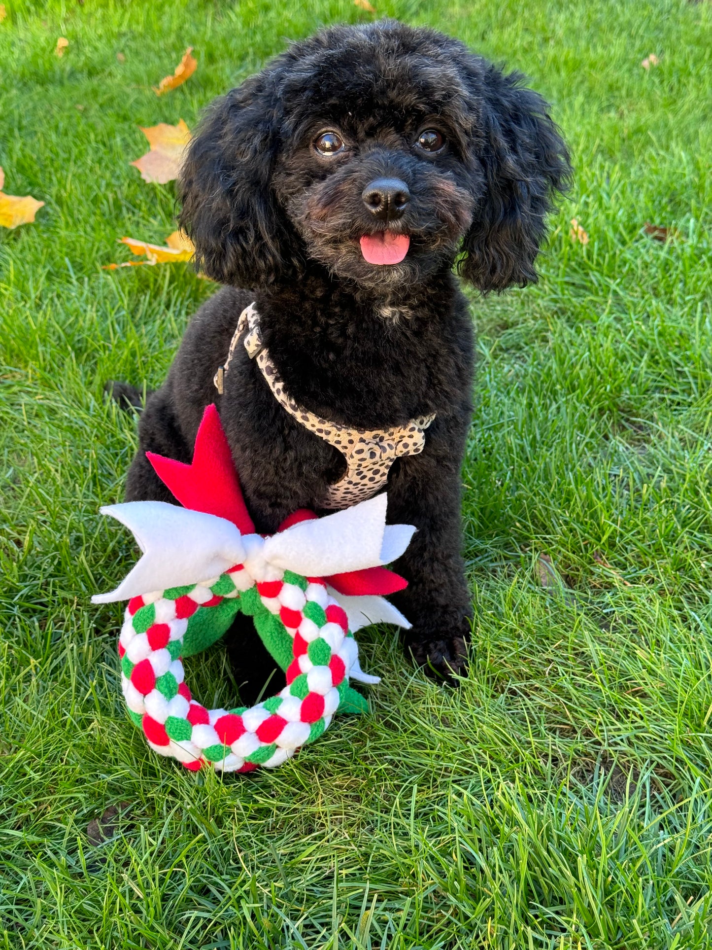 Festive Wreath Dog Tug 3 Sizes Available (Free Postage)