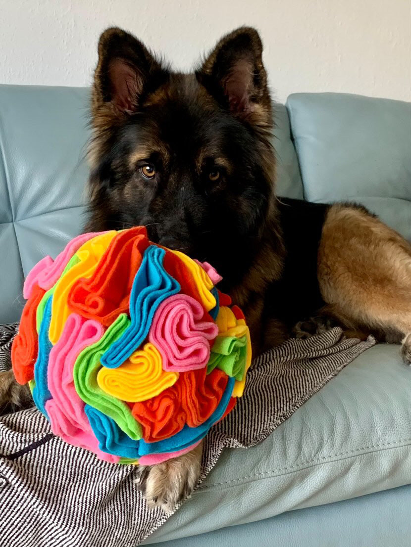 Custom Coloured Snuffle Balls available in 5 sizes (Free Postage)