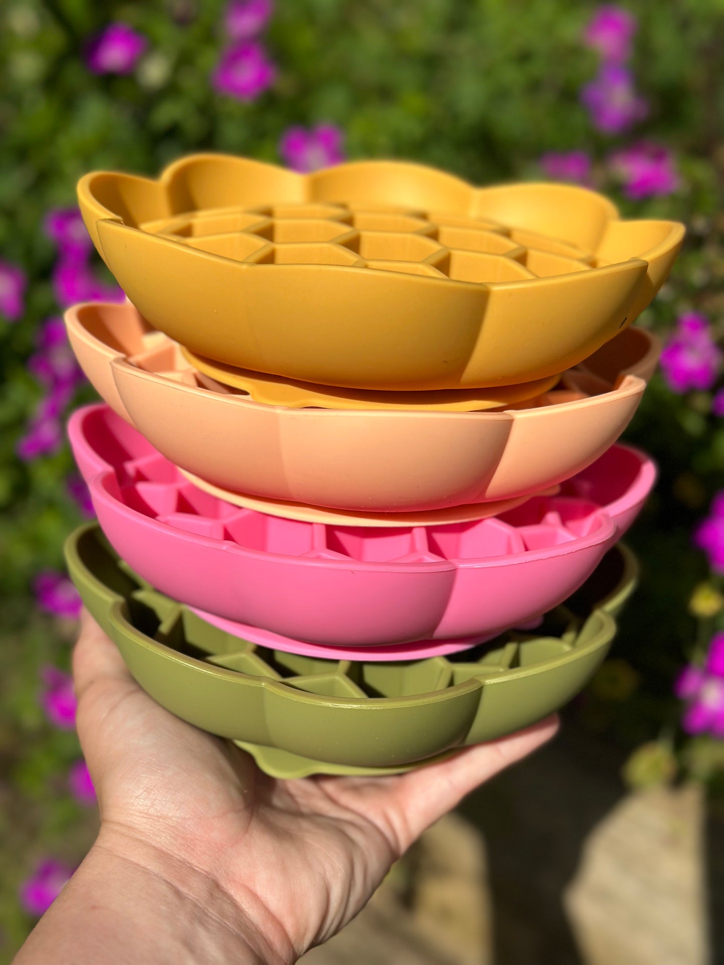 Honeycomb Enrichment Bowl (Free Postage)