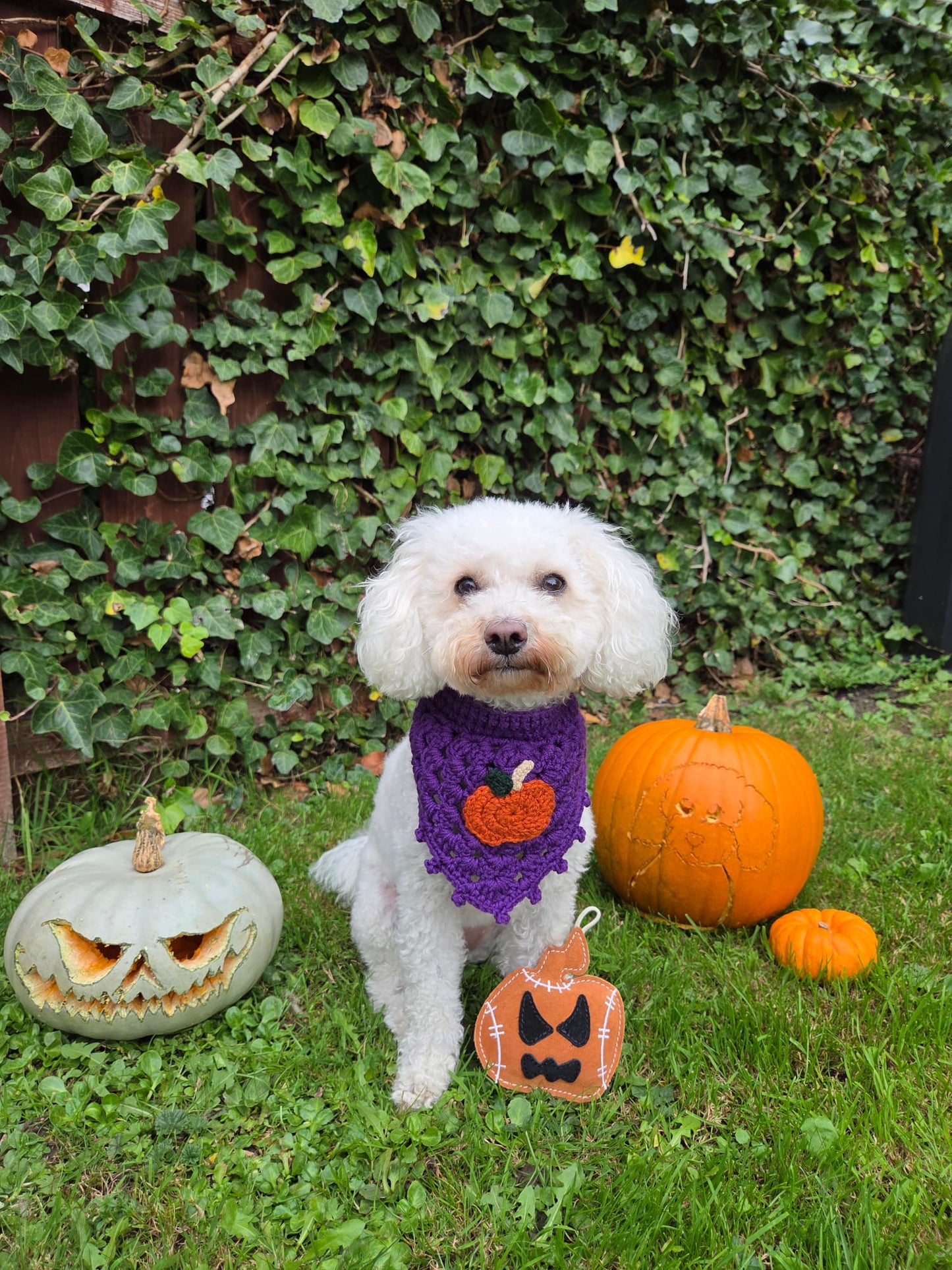 Jack The Lad Lantern (Free Postage)