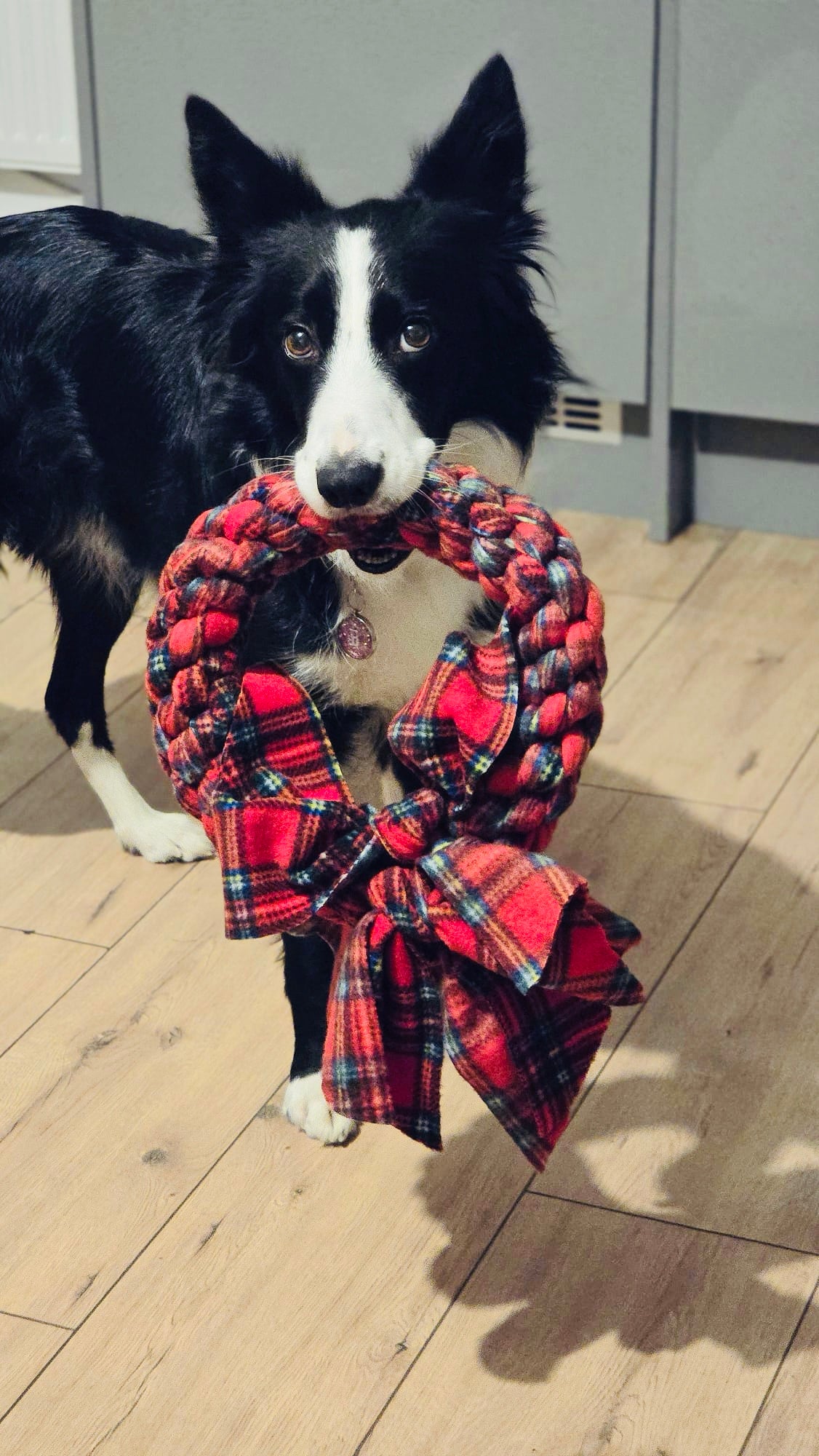 Festive Wreath Dog Tug 3 Sizes Available (Free Postage)
