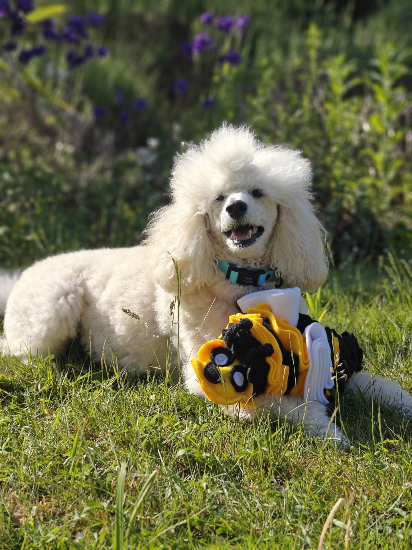 Bumble Buzzle Available In 2 Sizes (Free Postage)