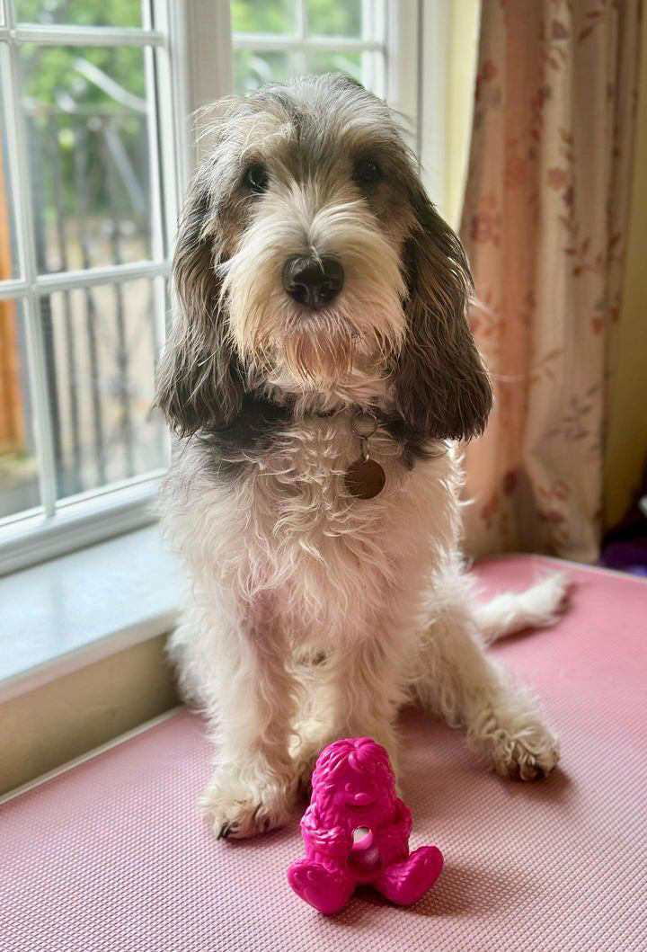 Dogsee Yeti Treat Toy, 3 colours available (Free Postage)