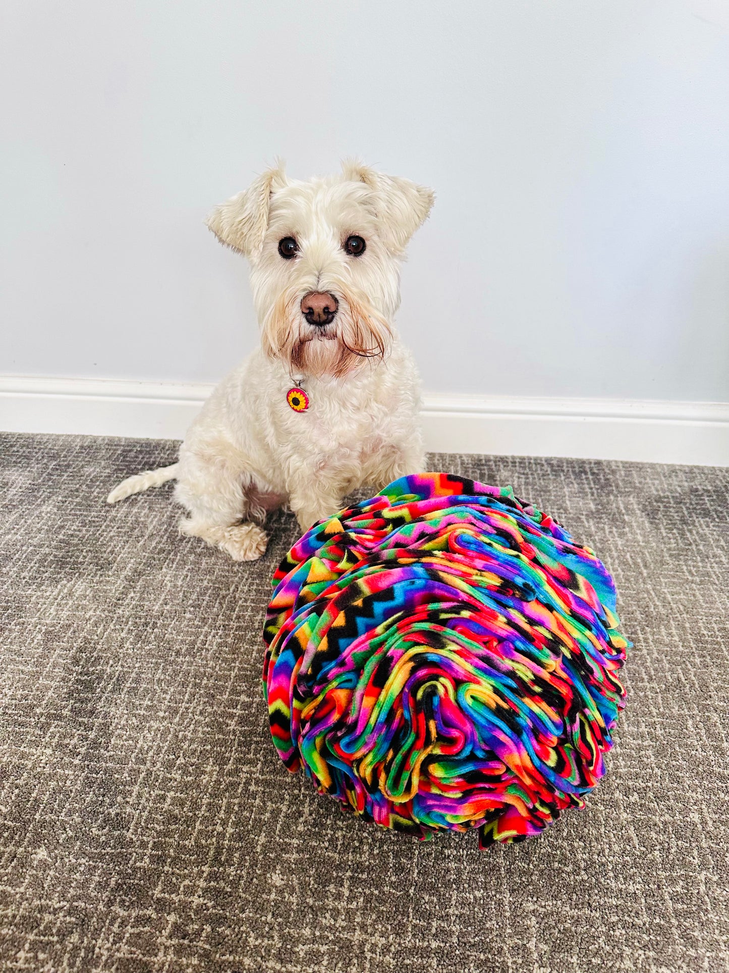 Extra Large Snuffle Ball (Free Postage)