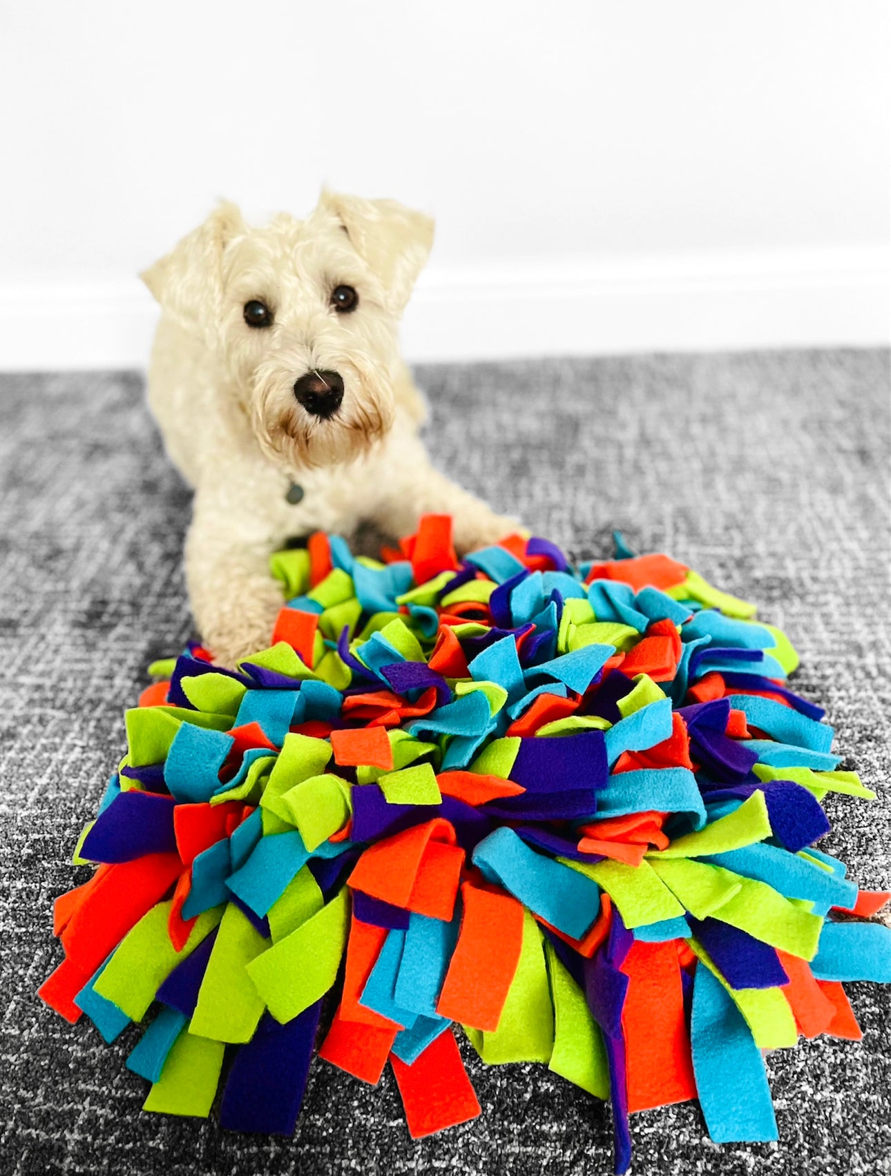 Custom Made Medium Snuffle Mat (Free Postage)
