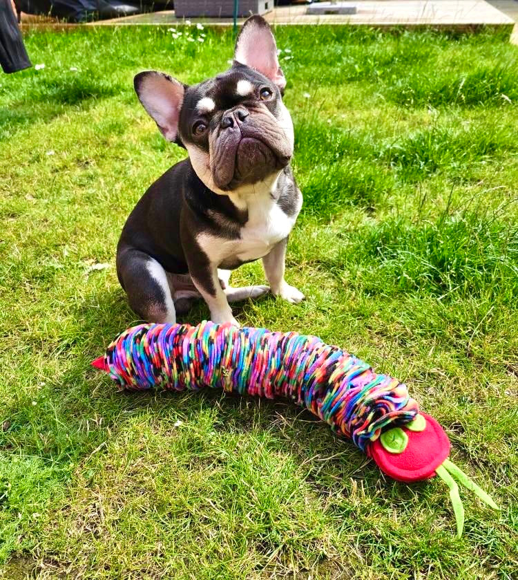 Small Snuffle Snake (Free Postage)