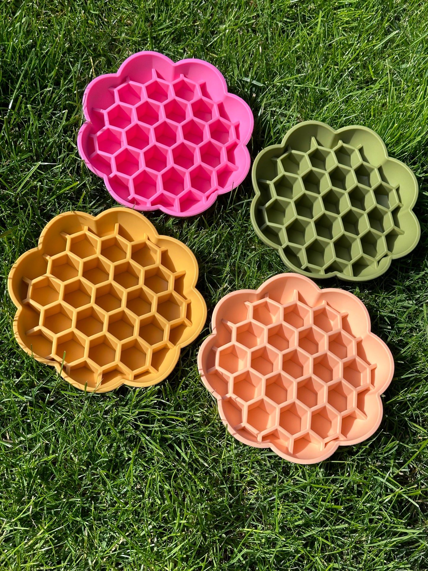 Honeycomb Enrichment Bowl (Free Postage)
