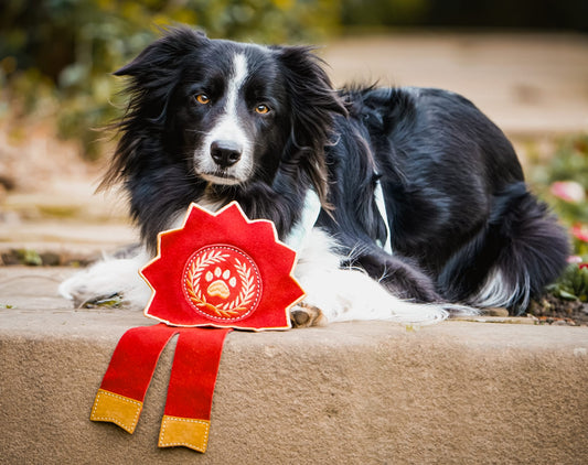 Everyone’s A Winner Rosette (Free Postage)
