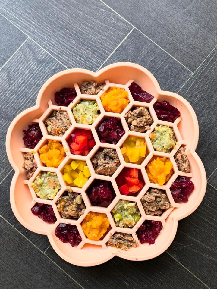 Honeycomb Enrichment Bowl (Free Postage)